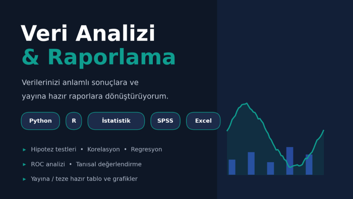 verilerinizi analiz eder ve raporlarım