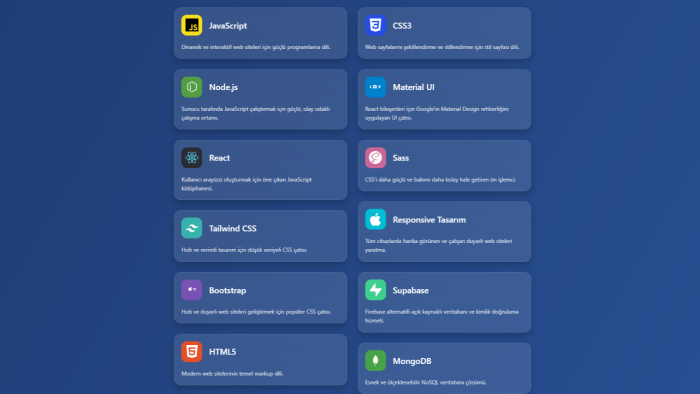 hızlı ve profesyonel şekilde website yapabilirim