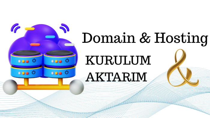 Domain ve hosting çözümleri sunuyorum