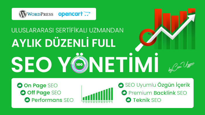 premium full SEO hizmeti veririm