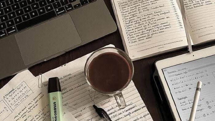 SEO uyumlu makaleler yazarım
