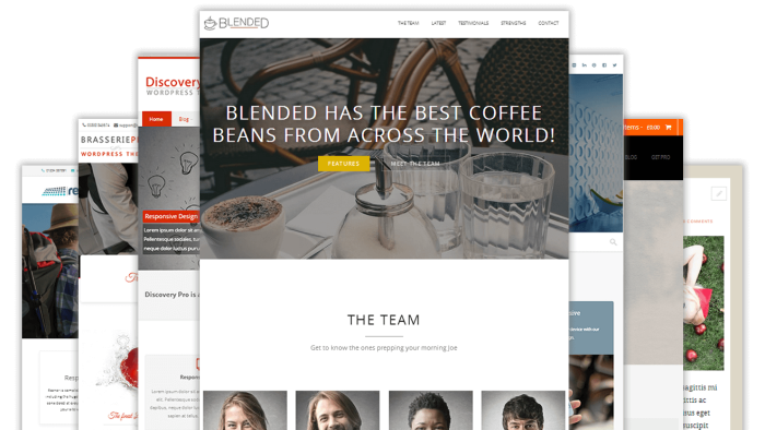 anahtar teslim Wordpress web sitesi yapabilirim