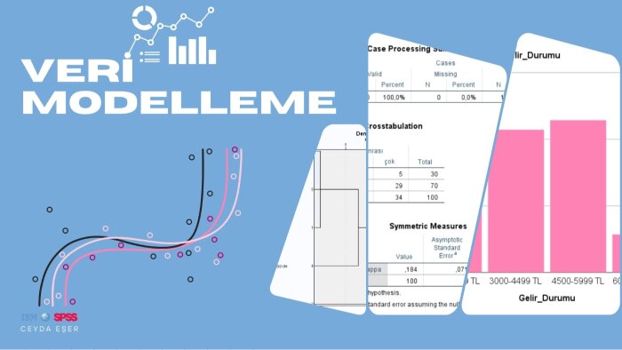 SPSS ile veri modellemesi yaparım