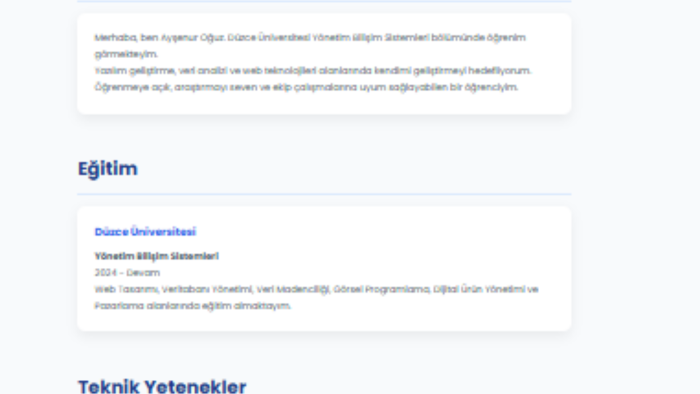 modern web sitesi tasarımı yaparım