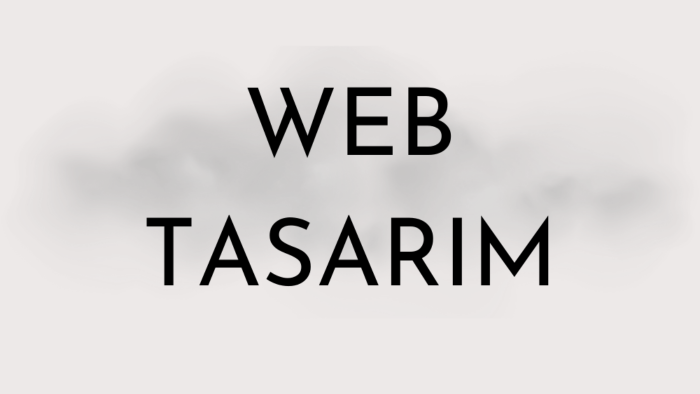 kurumsal web sitesi tasarlarım