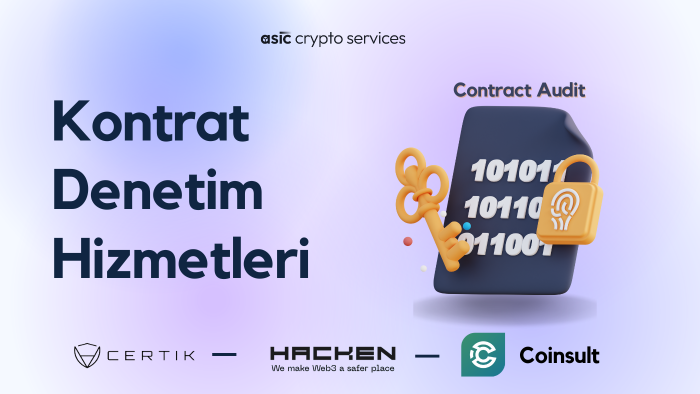 kripto projenizin denetimini yaparım