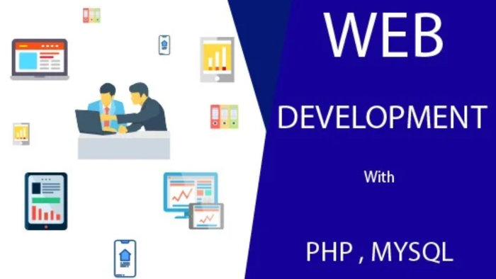 php ile web sitenizin admin paneli işlemlerini yapabilirim