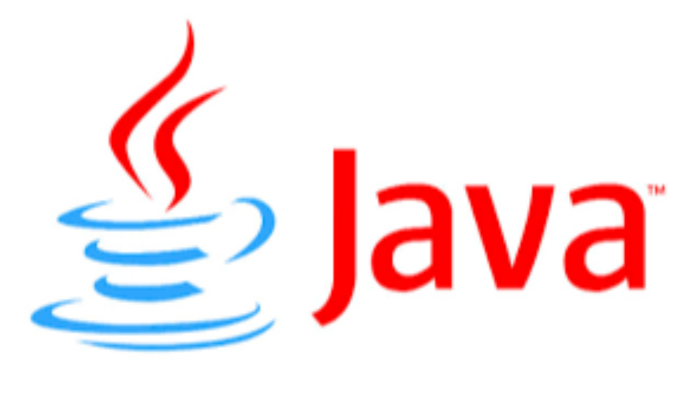 java, spring, html vb projelerinizi yapabilirim