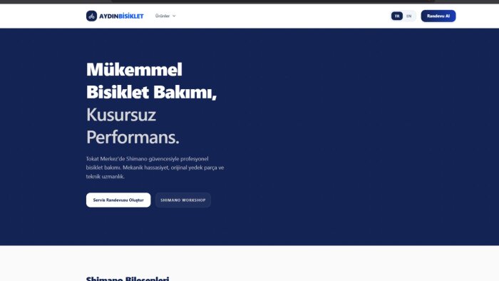 kişiye özel web sitesi tasarlıyorum