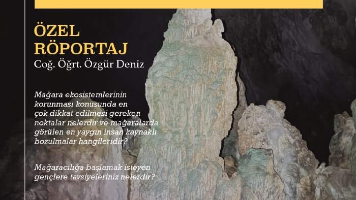 markana değer katan tasarımlar sunarım