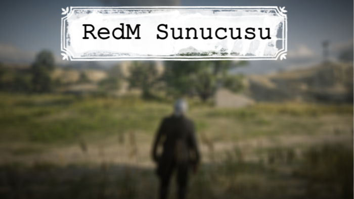 size profesyonel RedM sunucusu kurabilirim