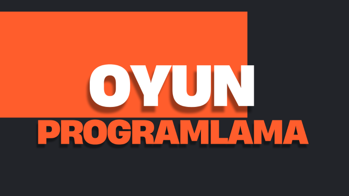 oyun fikirlerinizi hayata geçirmenize yardım ederim