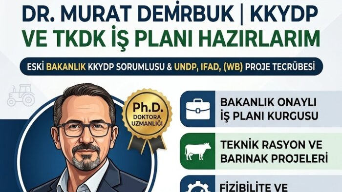 hibe programları için iş planları hazırlarım