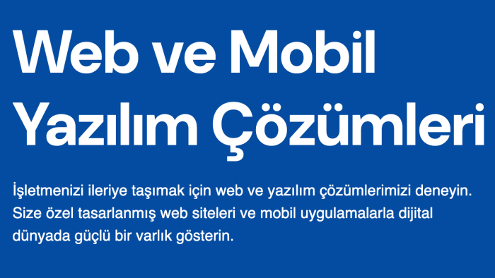 size özel modern ve performanslı web sitesi geliştirebilirim