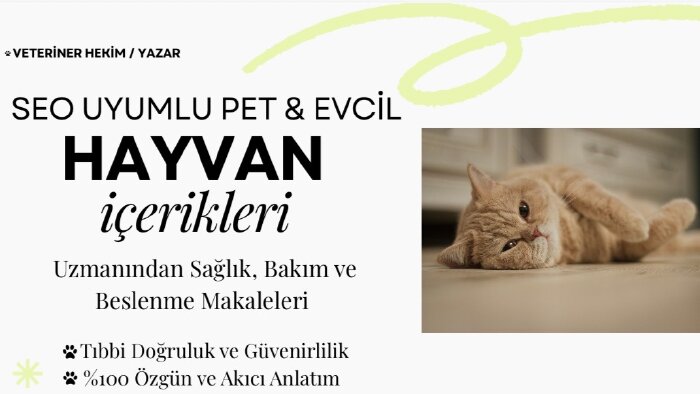 veteriner onaylı SEO uyumlu pet içerikleri yazarım