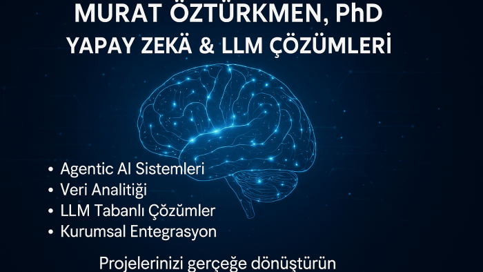 LLM'ler özel AI (agentic ve klasik) sistemleri tasarlıyorum
