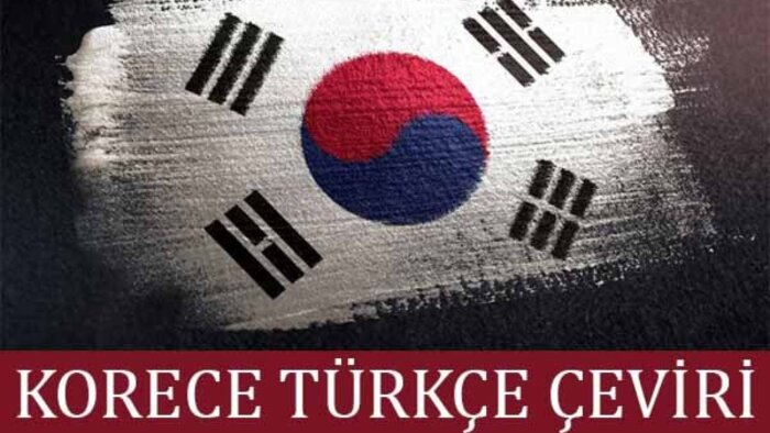Korece-Türkçe çeviri yaparım