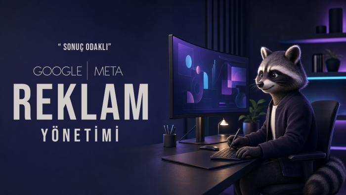 Google Ads ve Meta Ads reklamlarını yönetirim