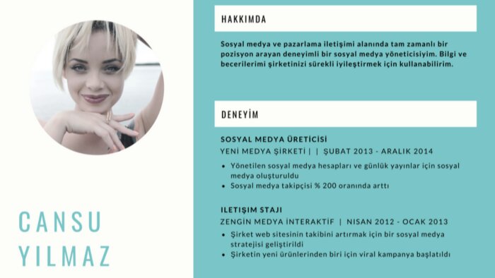profesyonel cv ve portfolyo hazırlayabilirim
