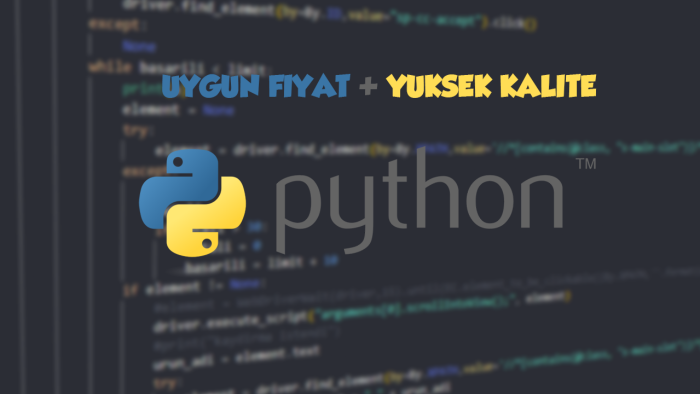 python kullanarak programı yapabilirim