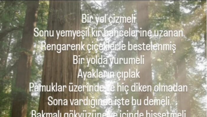 istediğin duygularda  şiir yazarım