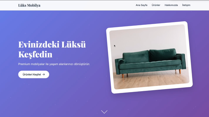 modern ve kullanıcı dostu web siteleri tasarlarım