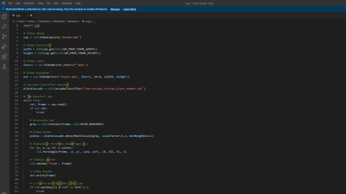 opencv ile python programlarınızı yazabilirim