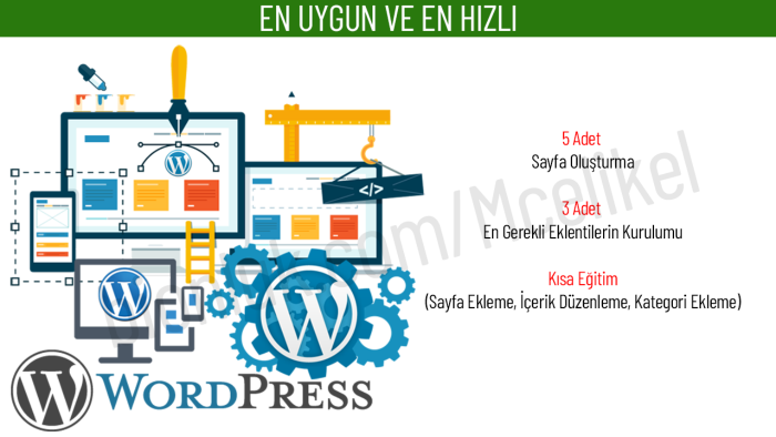 sitenize Wordpress ve eklentilerinin kurulumunu yapabilirim