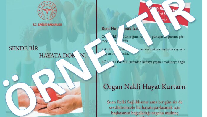 yenilikçi ve kendine özgü broşür tasarımı yaparım
