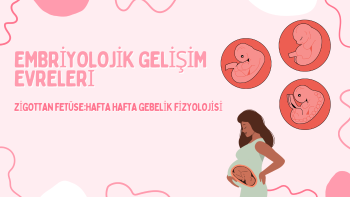 slaytlarınızı titizlikle hazırlarım