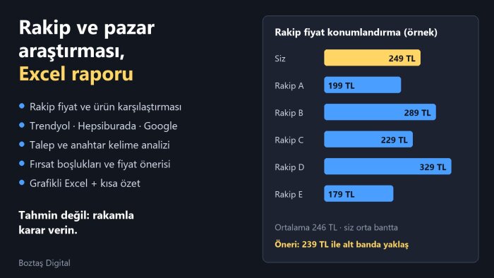 rakip ve pazar araştırması yapıp Excel raporu hazırlarım