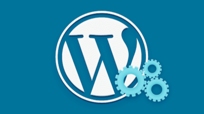 wordpress kurulum ve ayarlarınızı yaparım