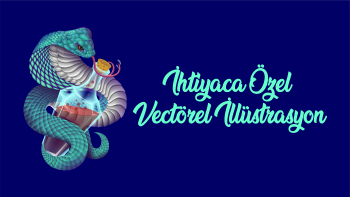 vectorel illüstrasyonlar yapabilirim