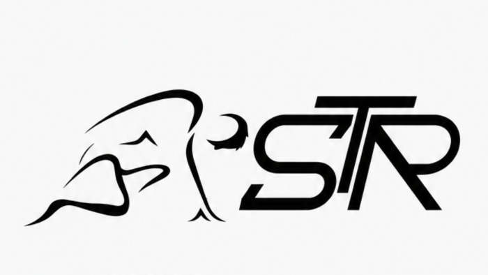 size uygun logo tasarlayabilirim