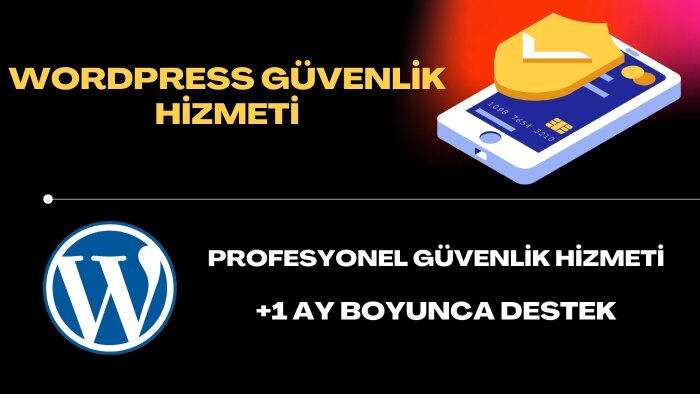 wordpress sitenize güvenlik testi yaparım