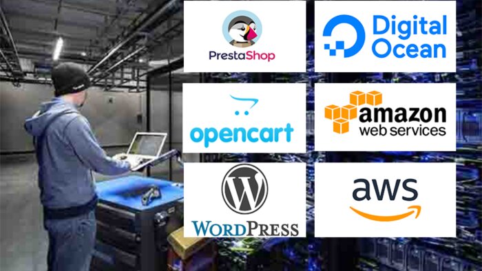sizin için hazır web scriptleri ve server kurabilirim