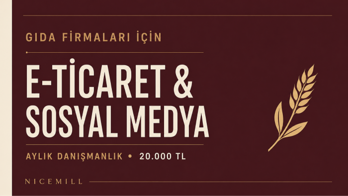 gıda firmanıza dijital satış danışmanlığı veririm