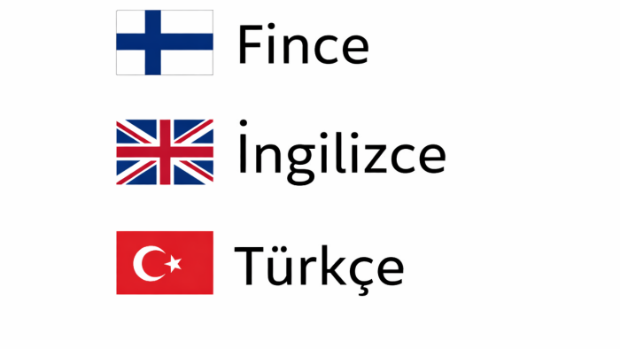 fince i̇ngilizce türkçe çeviri yaparım