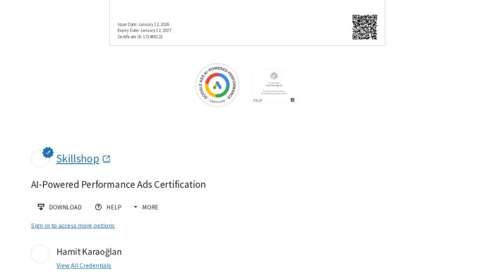  Google Ads görüntülü reklamlarınızı yönetirim
