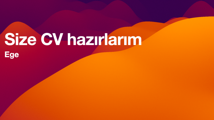 sana CV hazırlarım
