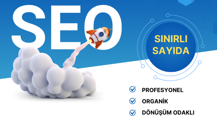 profesyonel seo hizmeti veririm