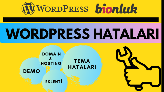 wordpress sitenizdeki hataları anında çözerim