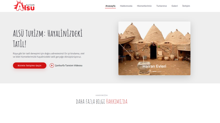 istediğiniz size özel web sitelerini yapabilirim