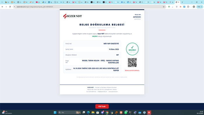 WordPress için özel eklenti (plugin) geliştiririm