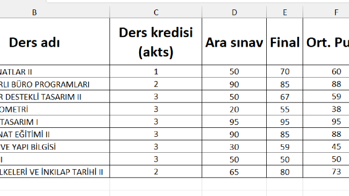 excel dosyalarınızı istediğiniz şekilde düzenleyebilirim