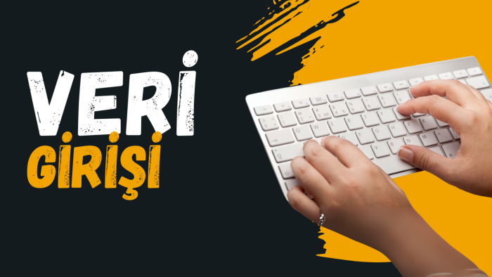 e-ticaret siteniz için veri ve ürün girişi yaparım