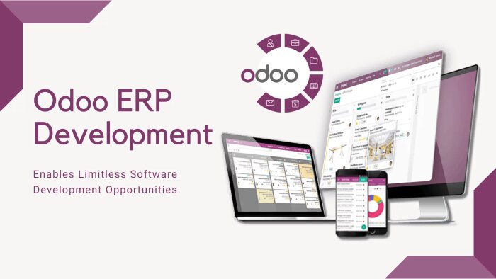 odoo kurulum, entegrasyon ve eklenti geliştirebilirim