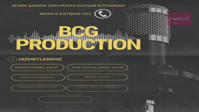 profesyonel kayıt alabilir ve "netd" de yayınlayabilirim