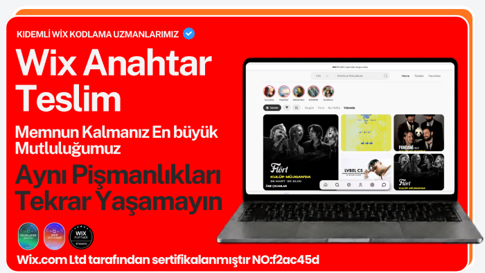sizin için wix ile bir web sitesi kodlayabilirim