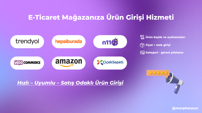 e-ticaret sitenize veya pazaryerine ürün girişi yapabilirim